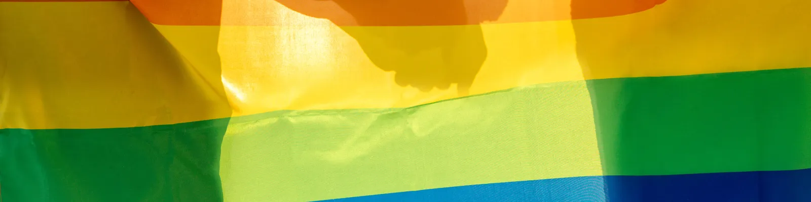 LGBTQ+ Health